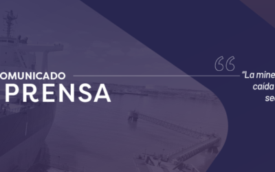 Revista – Andean Geology